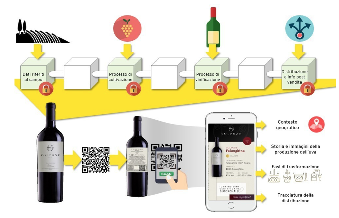 Processo Blockchain para vinhos
